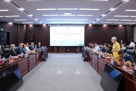 La séance de travail entre Da Nang et la délégation suédoise. Photo : VNA
