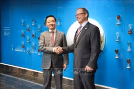 Anders Lindberg, vice-président principal du groupe Wärtsilä et le vice-premier ministre Tran Hong Ha (gauche) Photo : VNA