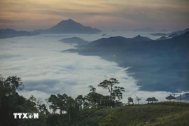 Un point haut pour observer chaque matin la mer de nuages ​​ondulante. Photo : VNA