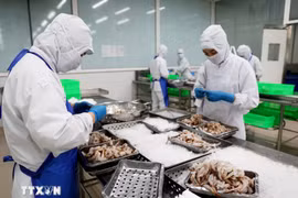 Transformation de produits de mer destinés à l'exportation à la Société de développement économique de Duyen Hai (COFIDEC), district de Binh Chanh, Hô Chi Minh-Ville. Photo : VNA