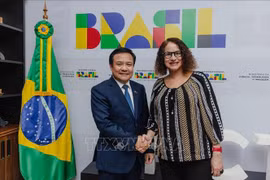La ministre brésilienne de la Science, de la Technologie et de l'Innovation Luciana Santos et l'ambassadeur du Vietnam au Brésil, Bui Van Nghi. Photo : VNA