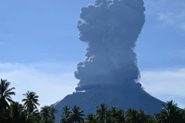 Le volcan Ibu entre en éruption. Photo : mekongasean.vn/AFP