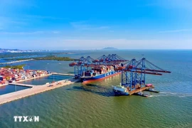 Les activités d'import-export au port en eau profonde de Gemalink. Photo : VNA