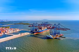 Les activités d'import-export au port en eau profonde de Gemalink. Photo : VNA