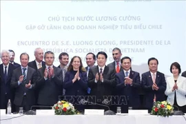 Le président Luong Cuong rencontre des chefs d'entreprise chiliens typiques. Photo : VNA