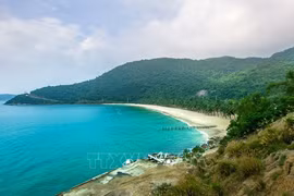 Une belle plage à Cu Lao Cham. Photo : VNA