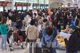 À l'aéroport international de Jeju. Photo : Yonhap