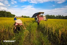 Photo d'illustration : VienamPlus