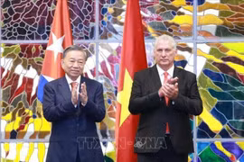 Le secrétaire général du Comité central du Parti communiste du Vietnam et président vietnamien To Lam (gauche) et le premier secrétaire du Comité central du Parti communiste de Cuba et président cubain Miguel Díaz Canel Bermudez à la cérémonie de signature d'accords de coopération. Photo : VNA