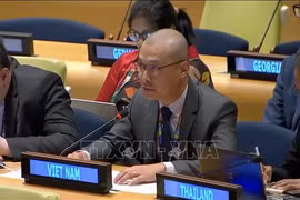 Le chef adjoint de la Mission permanente du Vietnam auprès de l'ONU, le ministre conseilleir Nguyen Hoang Nguyen. Photo : VNA