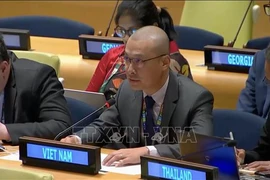 Le chef adjoint de la Mission permanente du Vietnam auprès de l'ONU, le ministre conseilleir Nguyen Hoang Nguyen. Photo : VNA