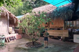 Le homestay (ou logement chez l'habitant) de la famille de Luong Thi Thao, situé au hameau de Kê, dans la commune de Hiên Luong. Photo: VOV