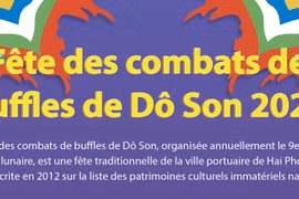 Fête des combats de buffles de Dô Son 2022
