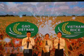 Ouverture du 3e Festival du riz du Vietnam à Long An