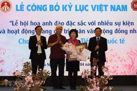 La fête des fleurs de cerisier fait un record au Vietnam