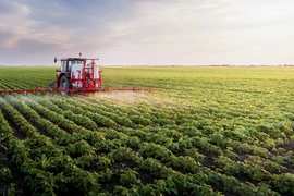 Le delta du Mékong se met à l’heure de l’agriculture verte et durable