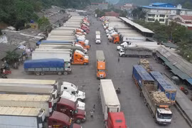 Des mesures aux portes-frontières pour faciliter l’exportation de produits agricoles