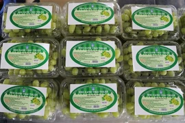 Les raisins verts de Ninh Thuan sont vendus sur la plate-forme d'e-commerce Sendo