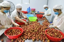 L’Australie cherche à booster les opportunités d'affaires avec le Vietnam