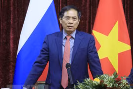 Le ministre des Affaires étrangères Bui Thanh Son rencontre des Vietnamiens en Russie
