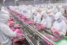 Les exportations de produits aquatiques vers la Chine en forte croissance