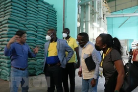 Le Gabon souhaite coopérer avec Long An dans la production rizicole