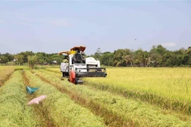 Des entreprises australiennes souhaitent investir dans l'agritech au Vietnam