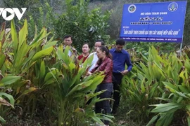 Bac Kan mise sur les coopératives pour accélérer son développement