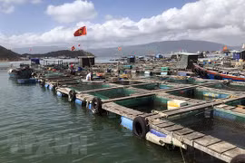 Adoption du programme national de développement de l’aquaculture pour la période 2021-2025