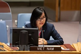 ONU : le Vietnam soutient les efforts diplomatiques pour accélérer la mise en oeuvre du JCPOA