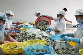 Hausse des exportations de produits agricoles, sylvicoles et aquatiques des quatre mois