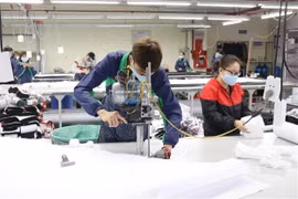 Le Vietnam cherche à profiter de l'EVFTA pour stimuler les exportations vers les Pays-Bas