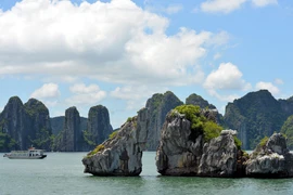 La baie de Ha Long accueille près de 1,5 million de visiteurs depuis le début de l'année