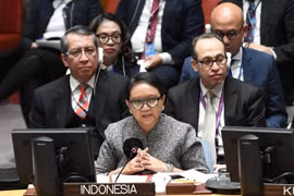 Conseil de sécurité : l’Indonésie appelle à maintenir la paix pendant la pandémie de COVID-19