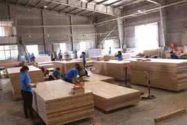 Le bois vietnamien a la cote à l’export