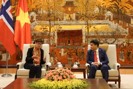 La Norvège et Hanoï partagent des expériences en matière de développement des énergies 