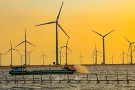 Le ministère de l’Industrie et du Commerce propose d’ajuster la Planification de l'électricité VIII