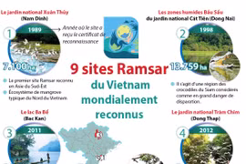 Neuf sites Ramsar du Vietnam mondialement reconnus