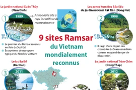 Neuf sites Ramsar du Vietnam mondialement reconnus