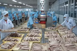 An Giang : séminaire sur les exportations de produits aquatiques en Chine