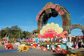 Le festival de fleurs à Da Lat