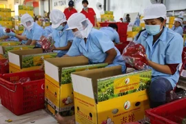 Promouvoir des chaînes de production de produits agricoles destinés aux exportations en Chine