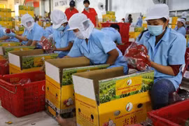 Promouvoir des chaînes de production de produits agricoles destinés aux exportations en Chine