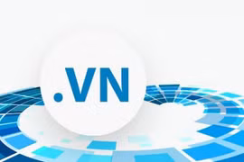 Le nom de domaine « .vn » conserve son trône en Asie du Sud-Est