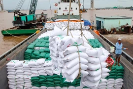Exportation de riz 2022: Miracle en difficulté