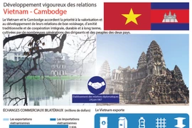 Développement vigoureux des relations Vietnam - Cambodge