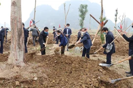 Lancement de la Fête de plantation d’arbres du printemps 2021 dans des localités