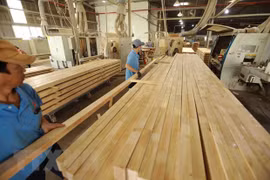 Binh Duong : excédent commercial de près de huit milliards de dollars en neuf mois