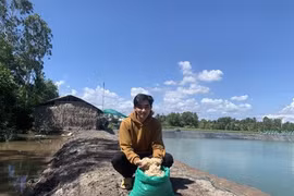 Du bioplastique biodégradable conçu à partir de carapaces de crustacés