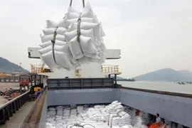 Le Vietnam doit créer une marque mondiale de riz plus forte